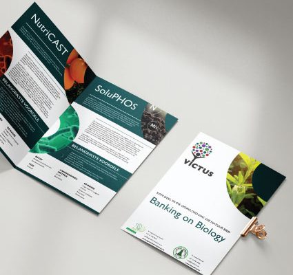 Branding-Blocks1